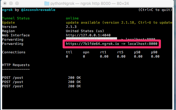 Python ngrok